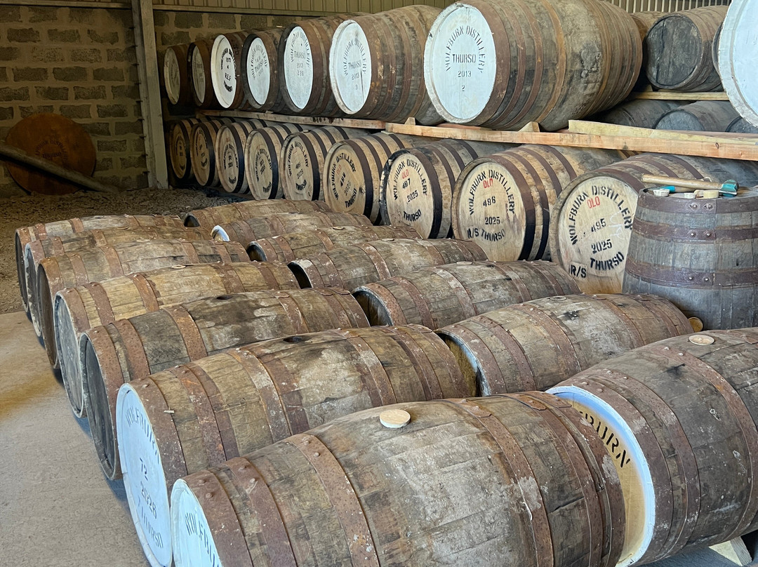 Wolfburn Distillery-Thurso必去景点