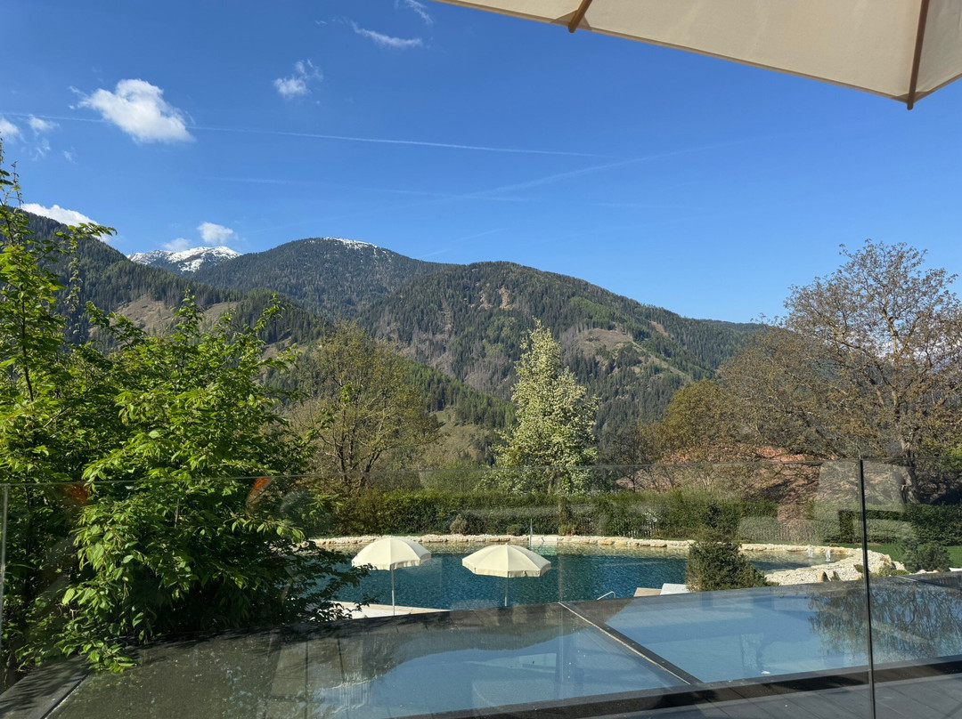 Familyhotel Sonnwies Dolomites主图