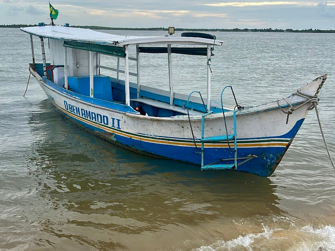 Farol da Foz Ecoturismo-Piacabucu必去景点