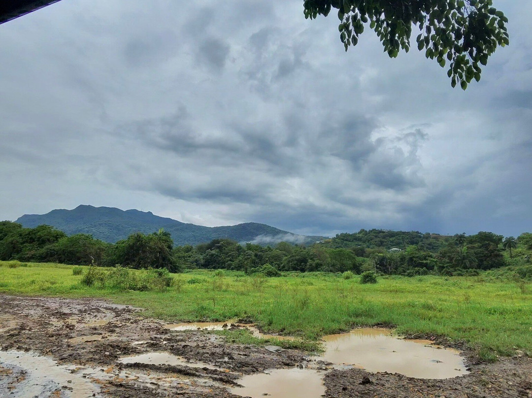 Rainforest & Ocean View Inn at Hacienda Carabali主图
