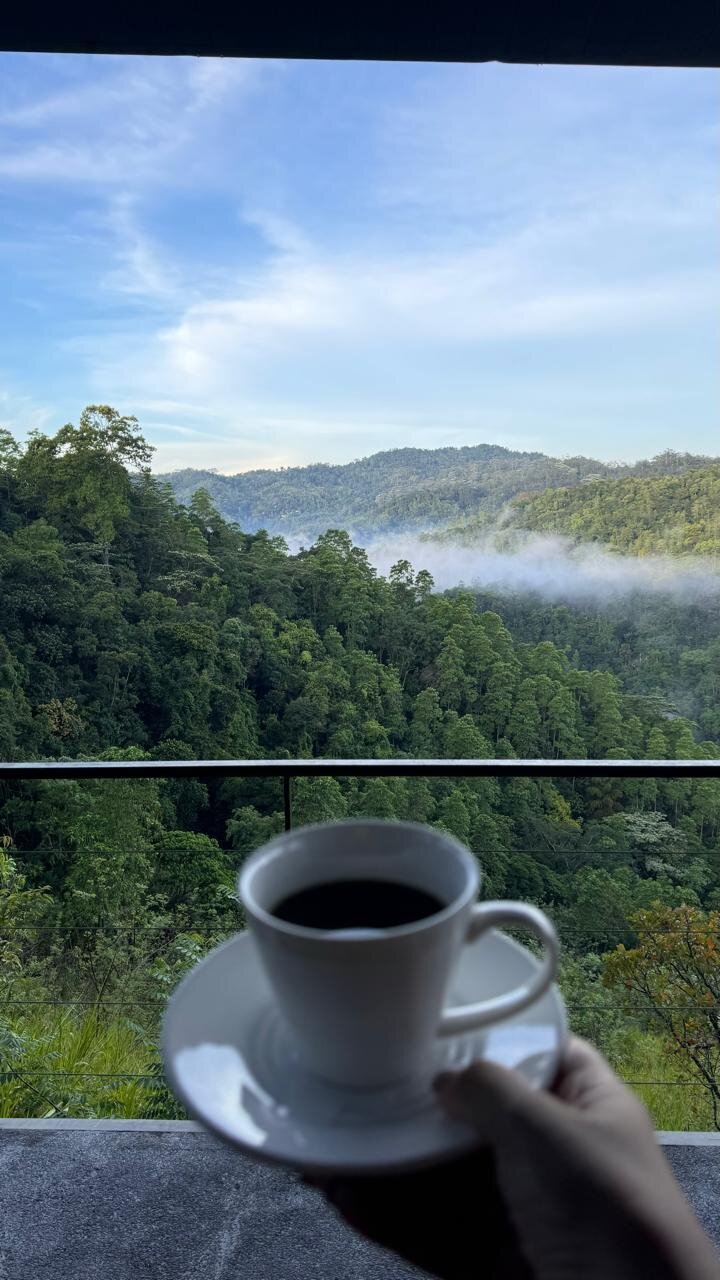 桑塔尼健康度假村及水疗中心-旅行者