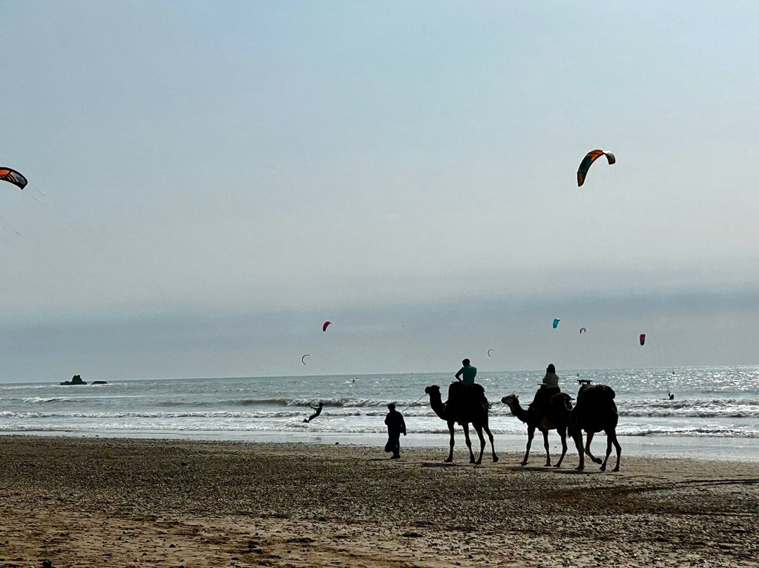 Kite Surf Maroc-索维拉必去景点