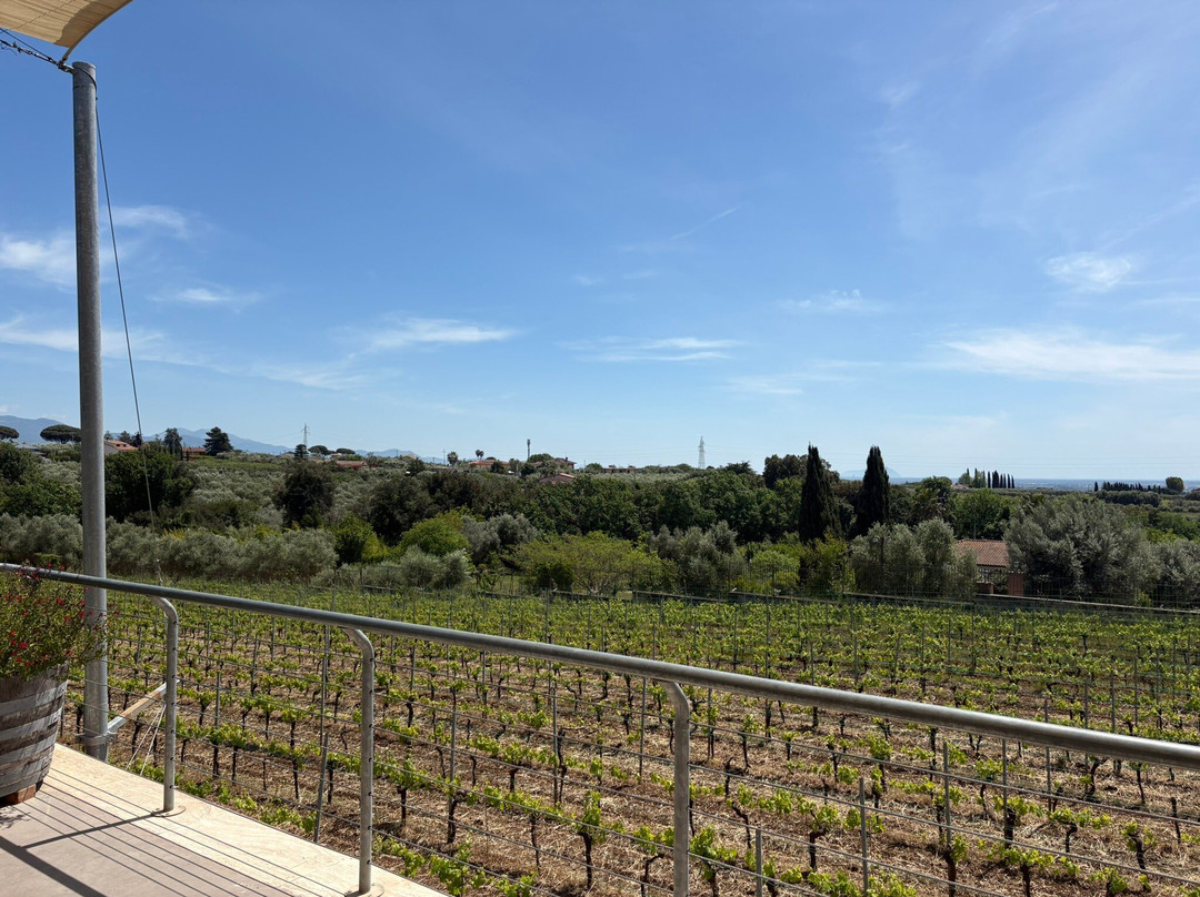Azienda Agricola Le Rose