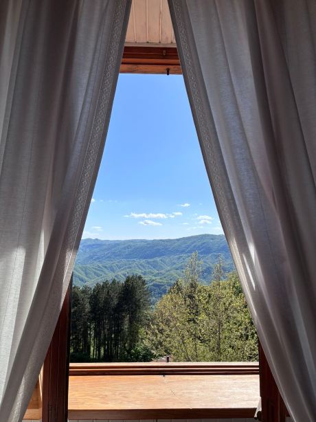 La Mela Selvatica B&B-旅行者