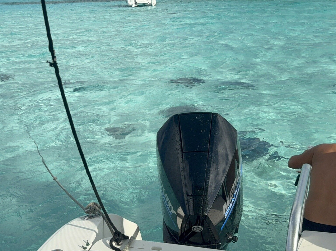 Crazy Crab Private Boat Charters-Camana Bay必去景点