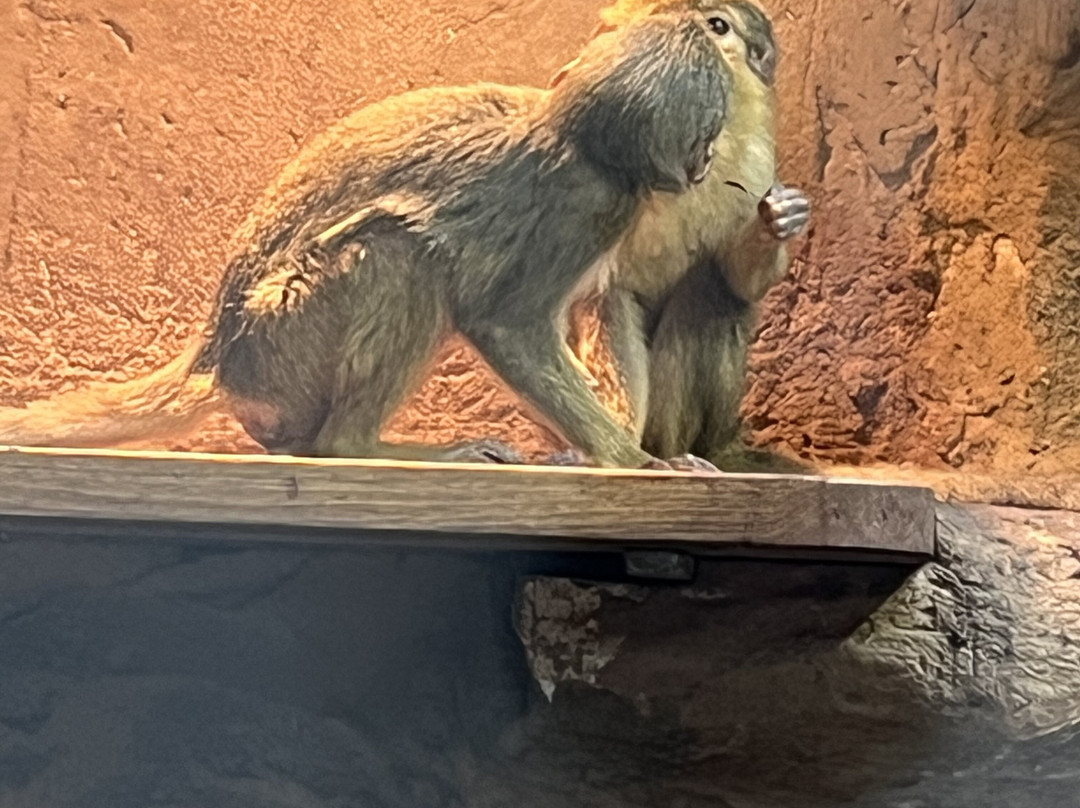 Zoologischer Garten Magdeburg-马格德堡必去景点