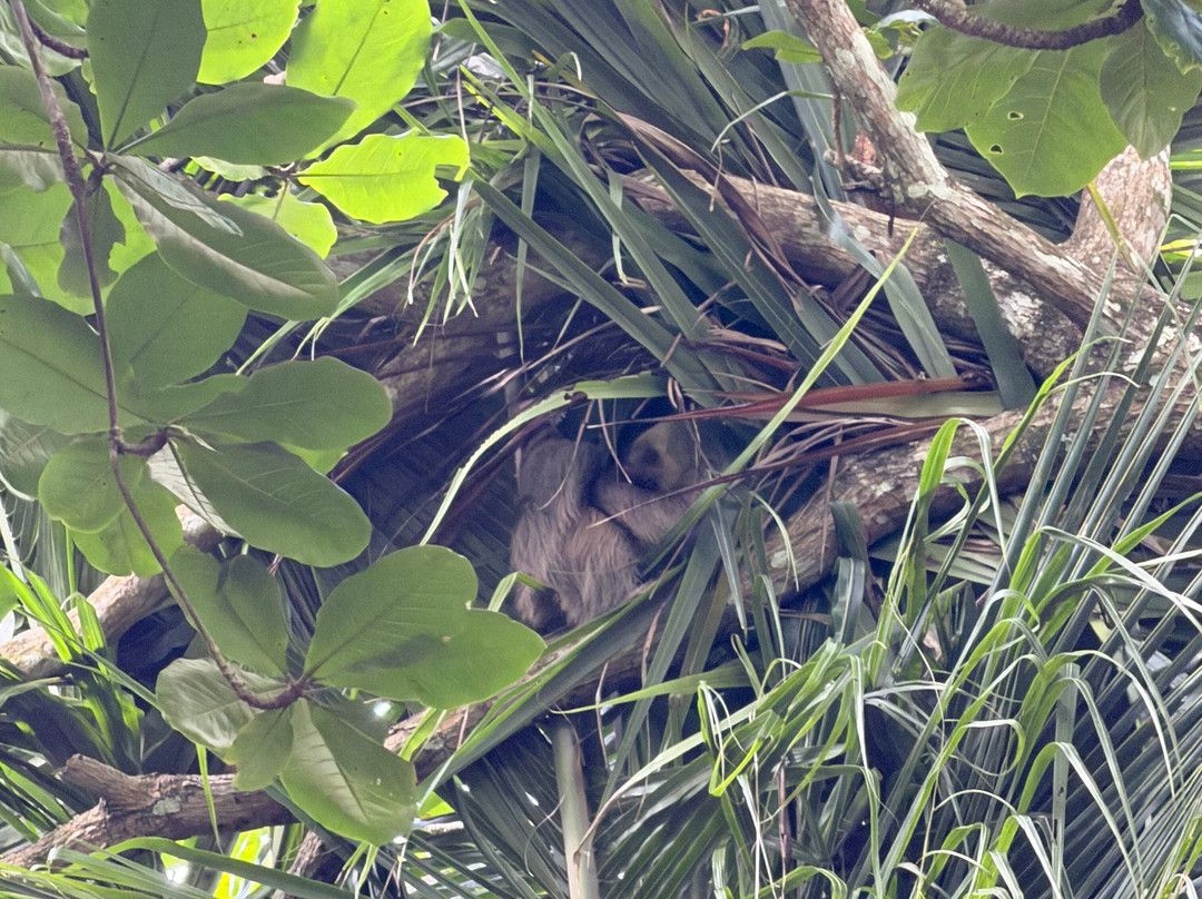 Cahuita National Park-卡维塔必去景点