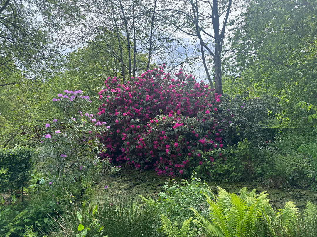 Botanical Garden Arboretum Oudenbosch-Oudenbosch必去景点
