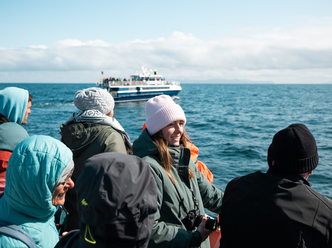 Arctic Whale Tours - Andenes