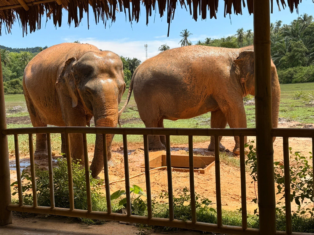 Koh Yao Elephant Beach-阁耀亚伊岛必去景点
