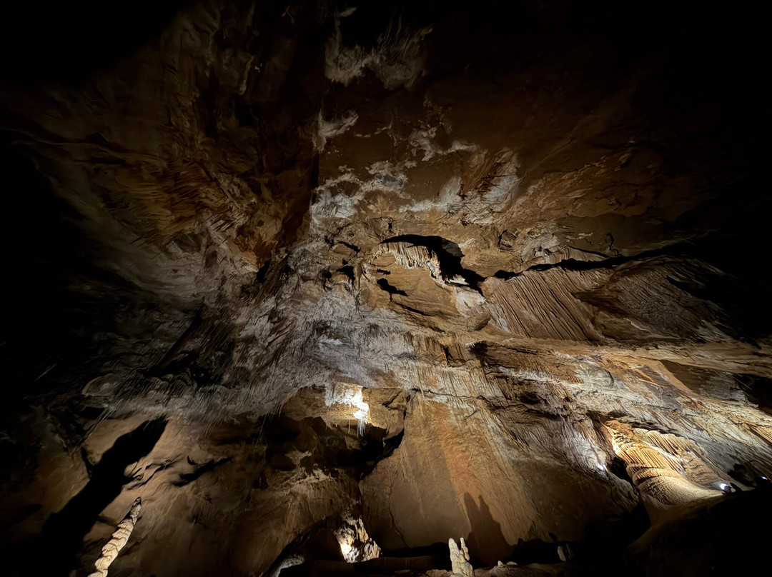 Mole Creek Caves-茉莉溪必去景点
