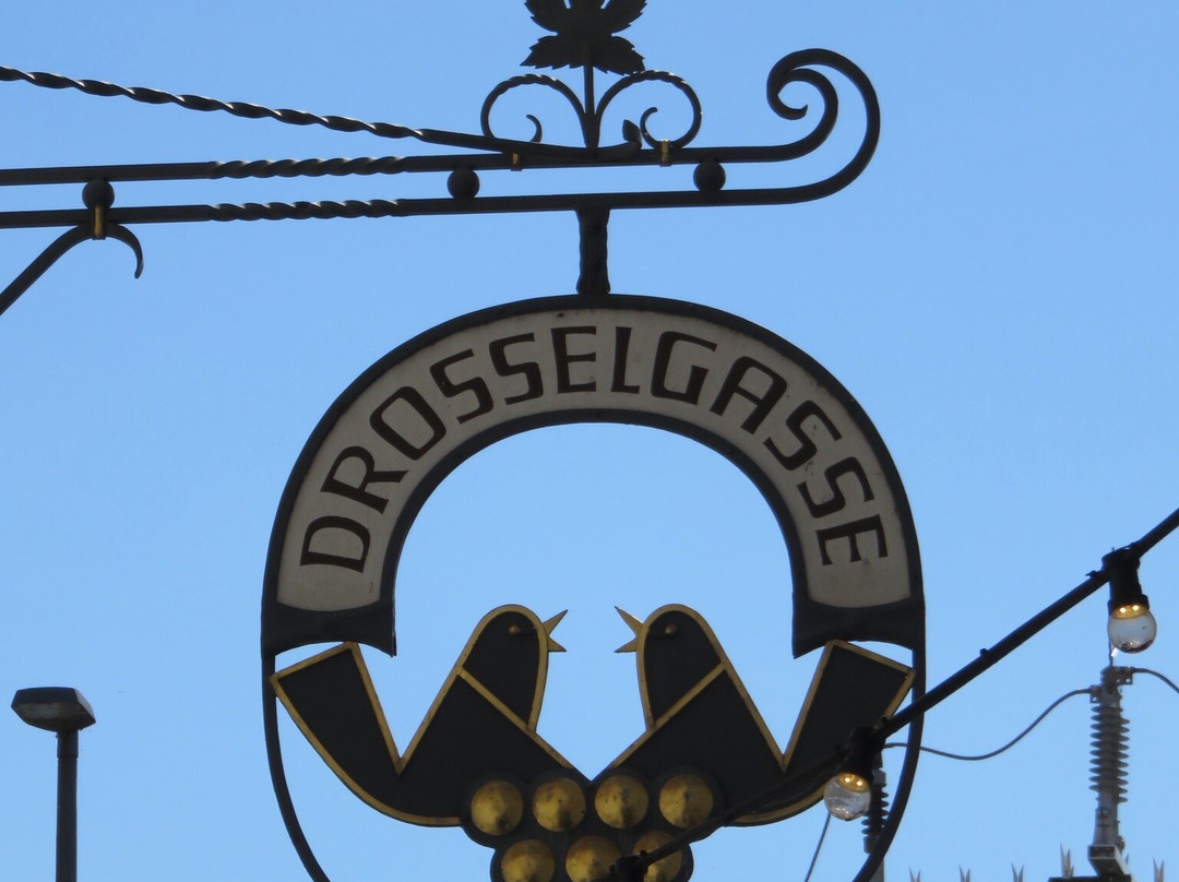 Drosselgasse-吕德斯海姆必去景点