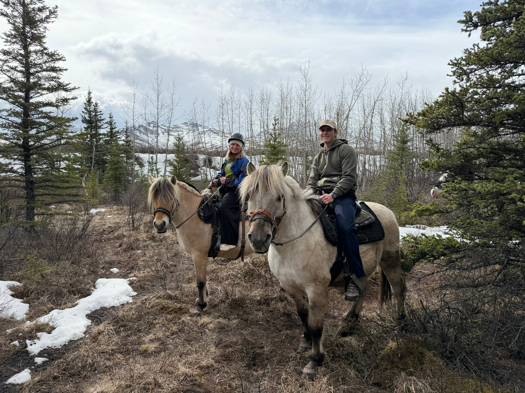 Denali Horseback Tours-德纳利国家公园和自然保护区必去景点