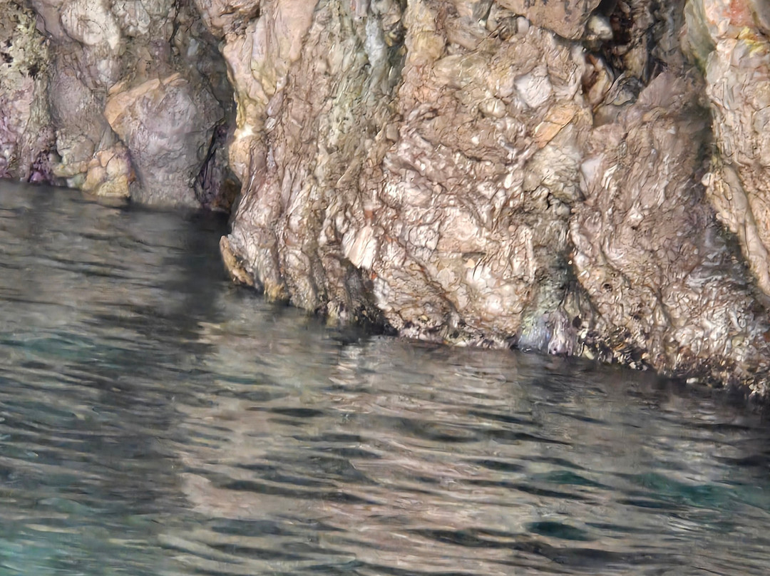 Montenegro Submarine & Kotor Speed Boat Tours-科托尔必去景点