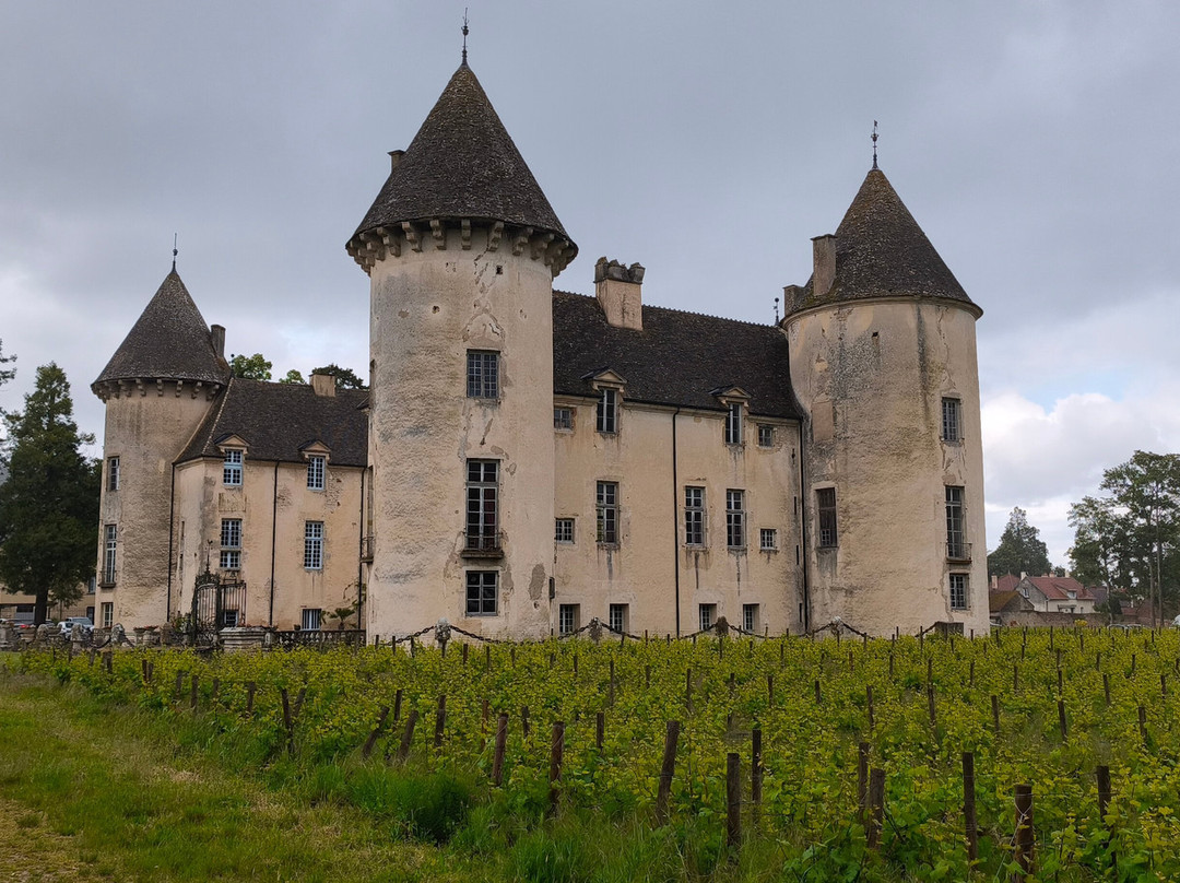 萨维尼-勒勃恩城堡-Savigny-les-Beaune必去景点
