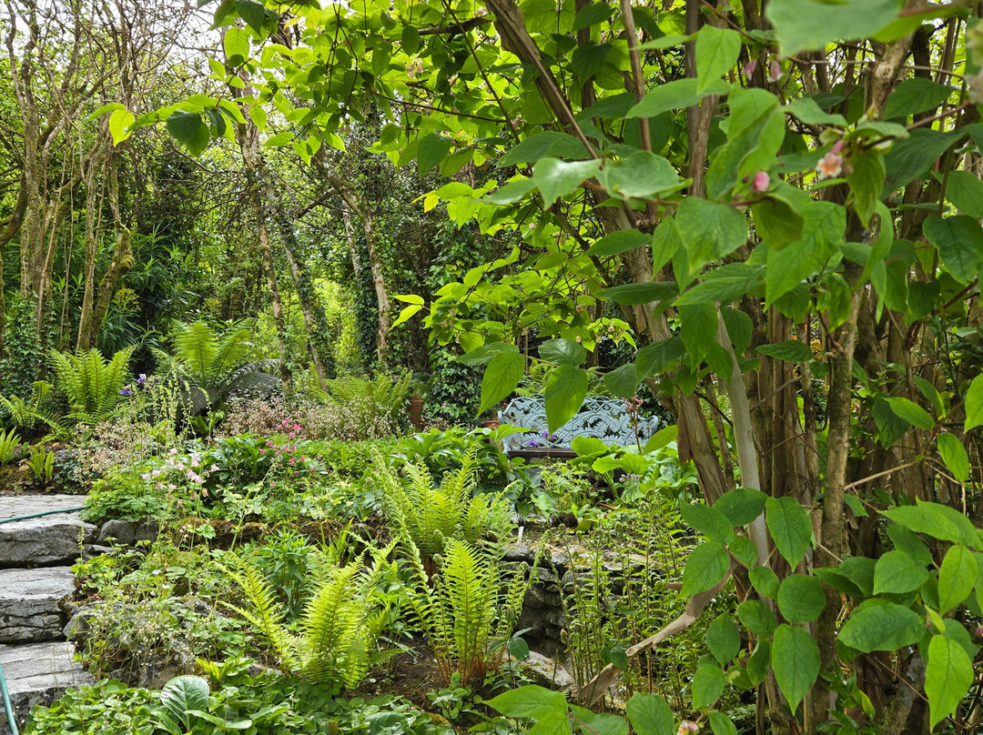 Caher Bridge Garden-Ballyvaughan必去景点
