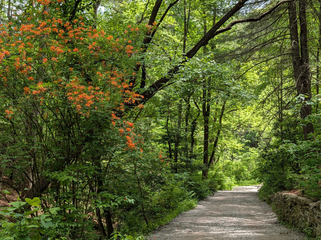 The North Carolina Arboretum-阿什维尔必去景点