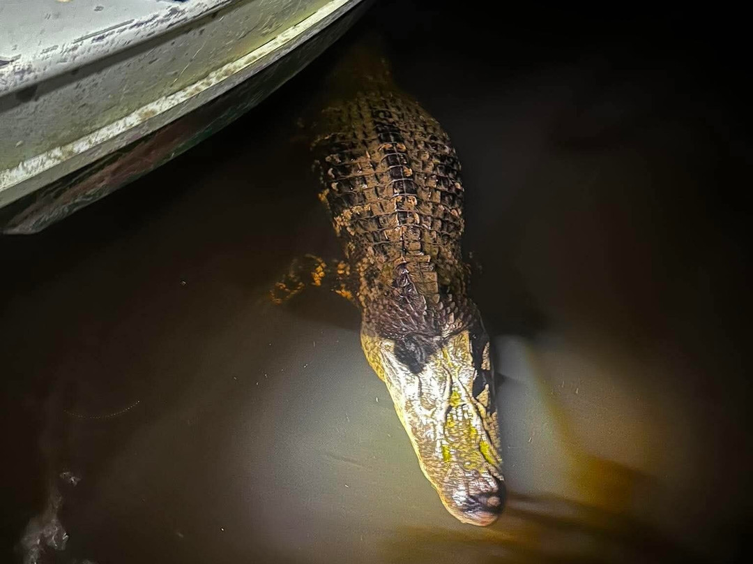 Ecolodge Flottant - Marais de Kaw-Regina必去景点