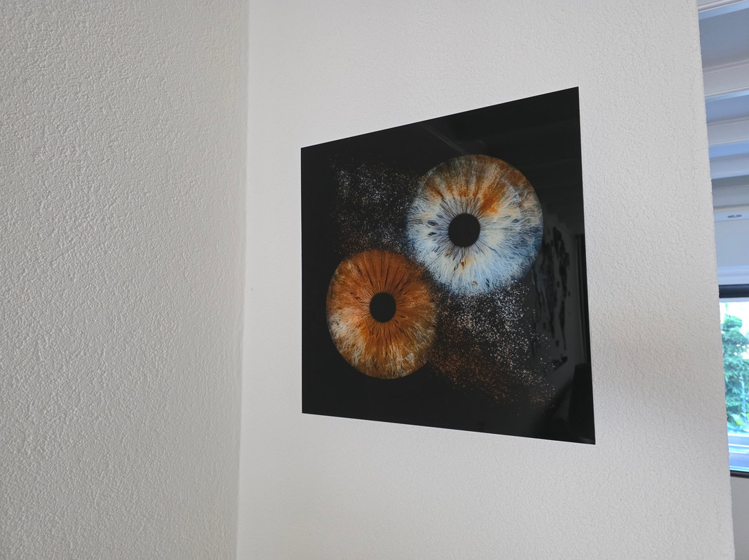 Iris Galerie Arnhem