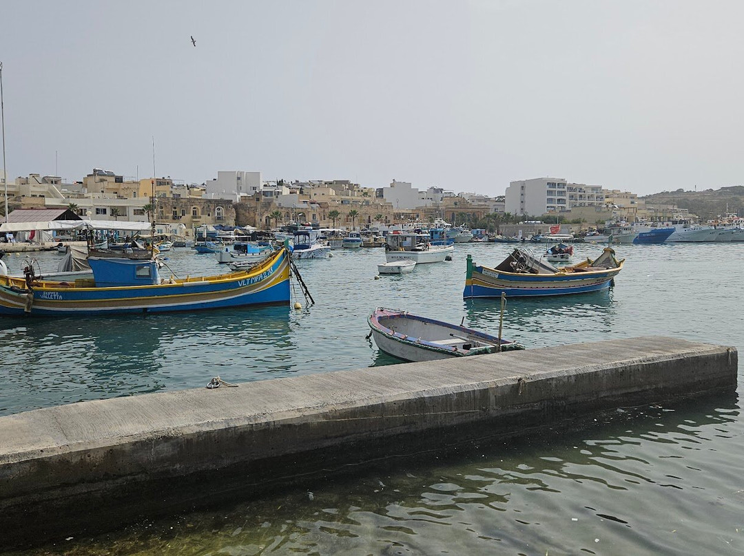 Marsaxlokk Market-Marsaxlokk必去景点