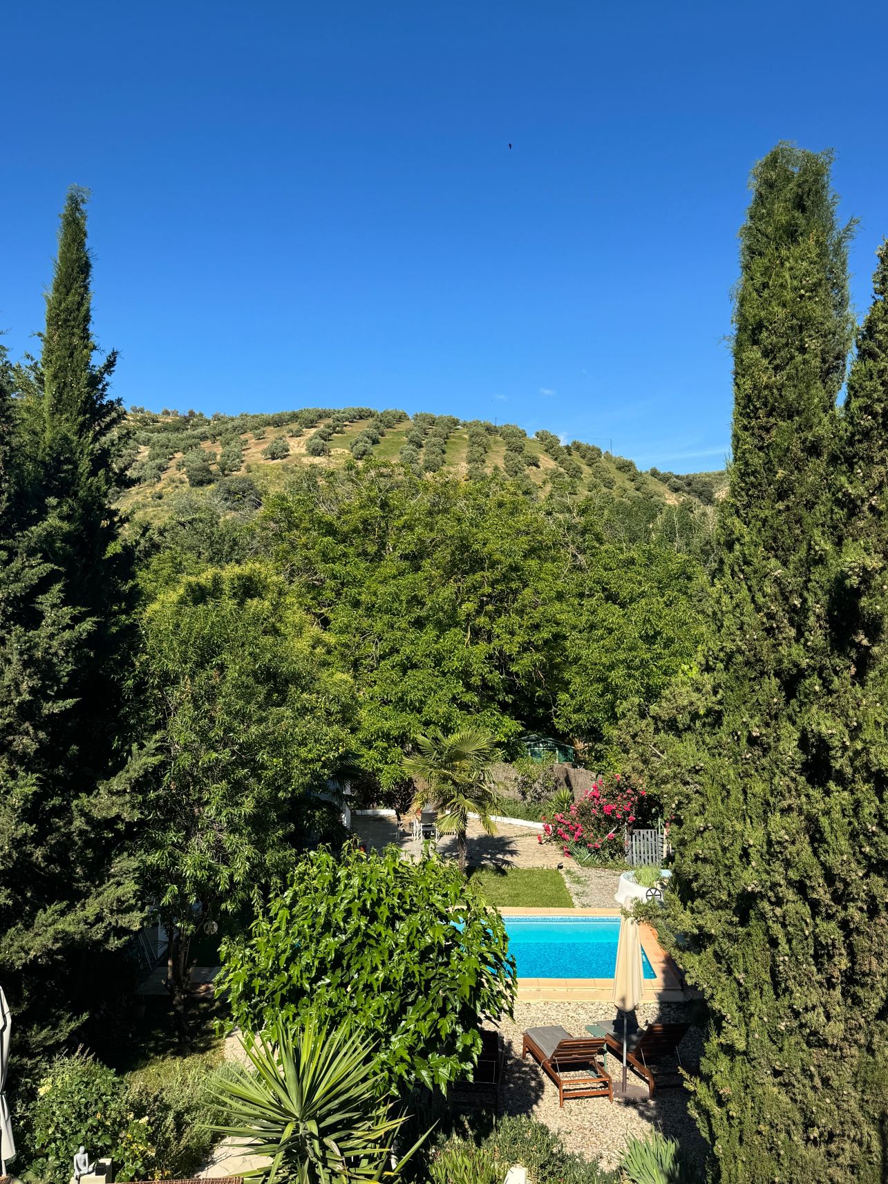 Casa la Nuez-旅行者