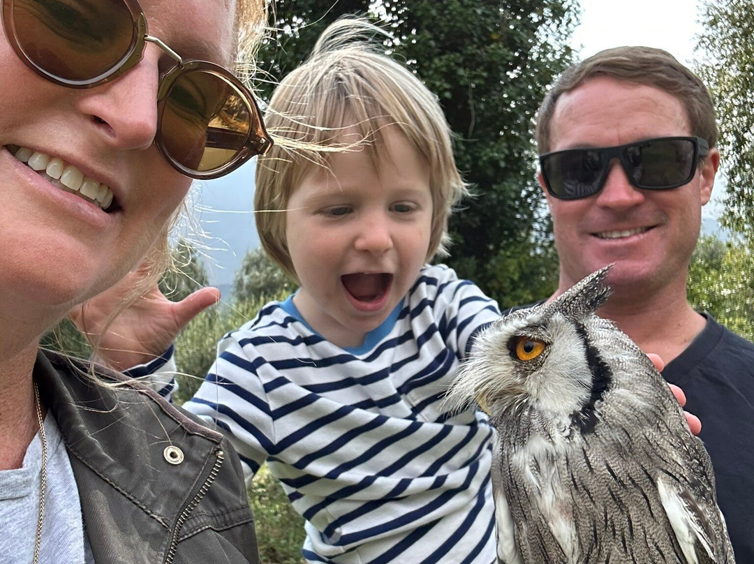 Killarney Falconry-基拉尼必去景点