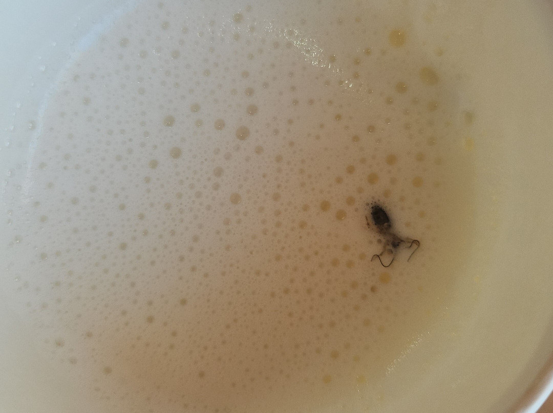 耶尼尼酒店主图