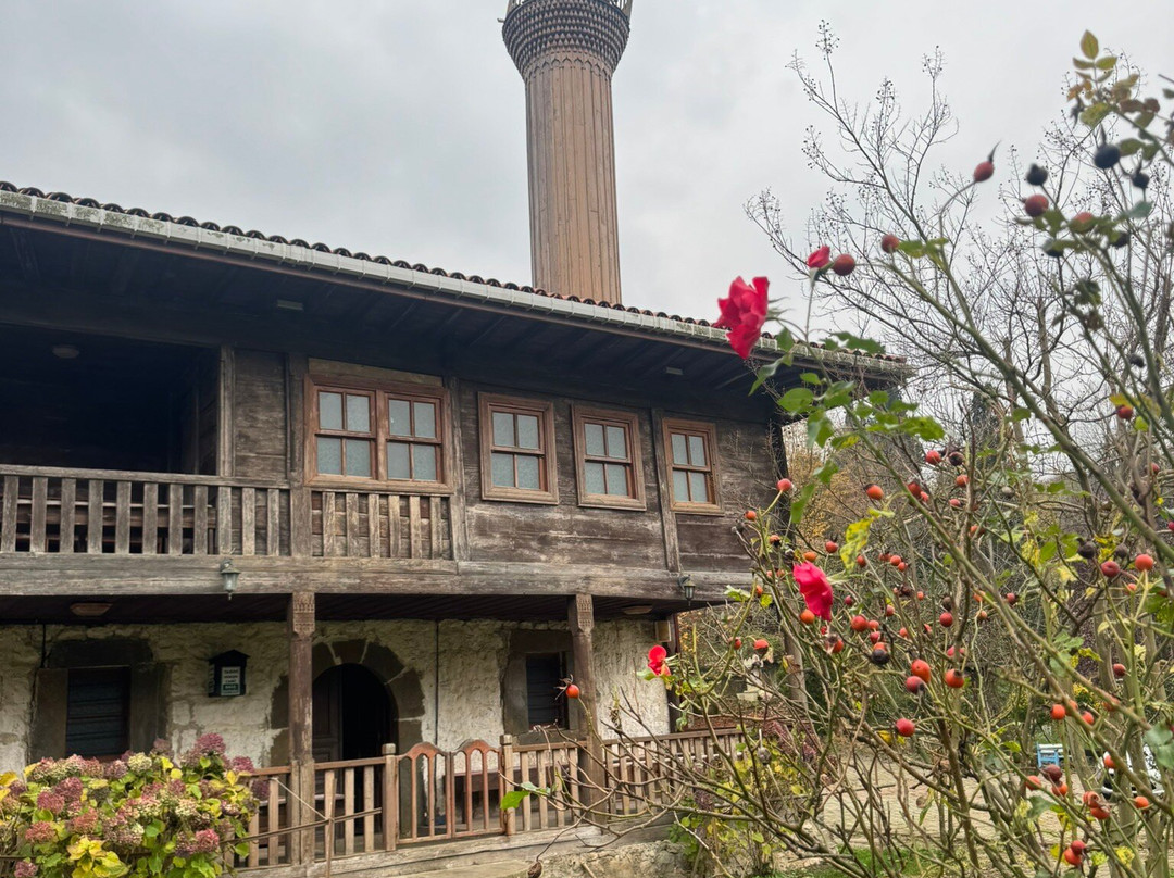 Tarihi Hemsin Koyu Ahsap Camii-阿克恰科贾必去景点