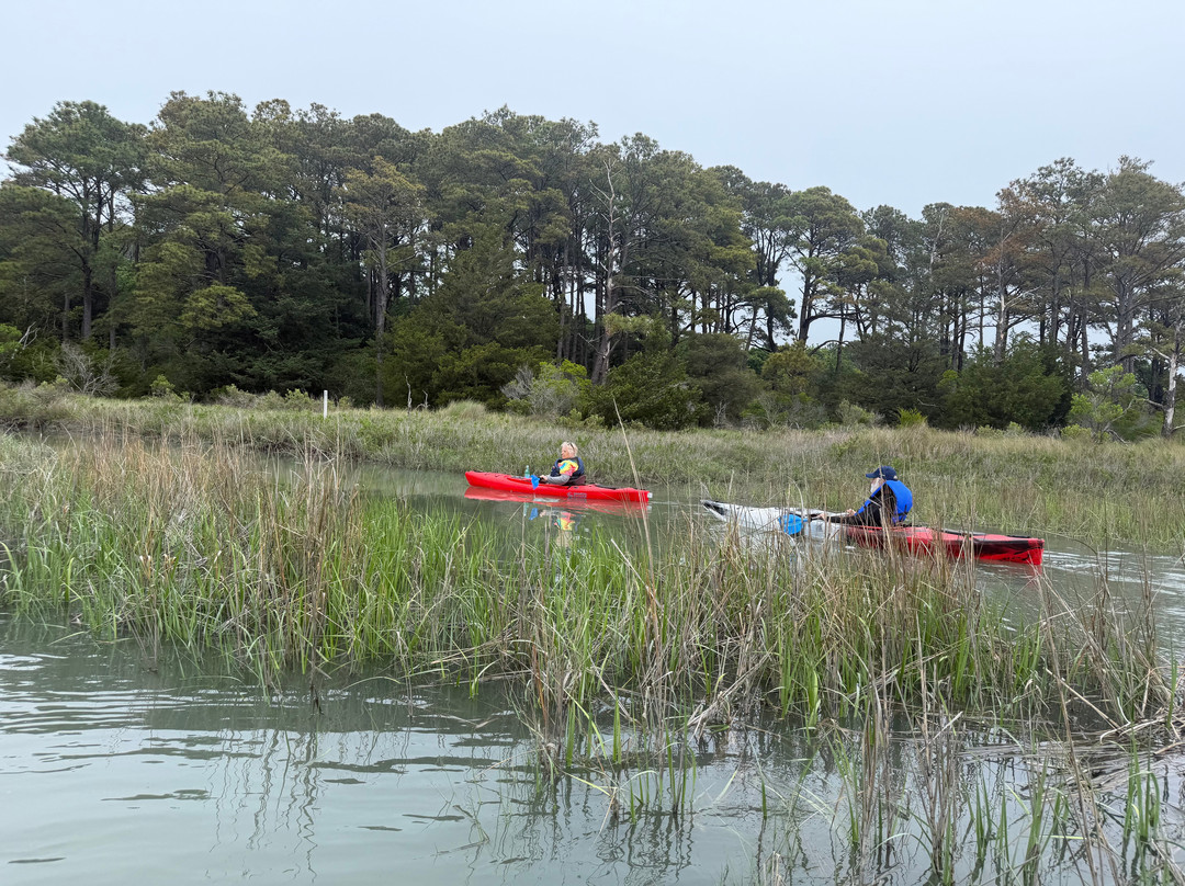 SouthEast Expeditions-Cape Charles必去景点