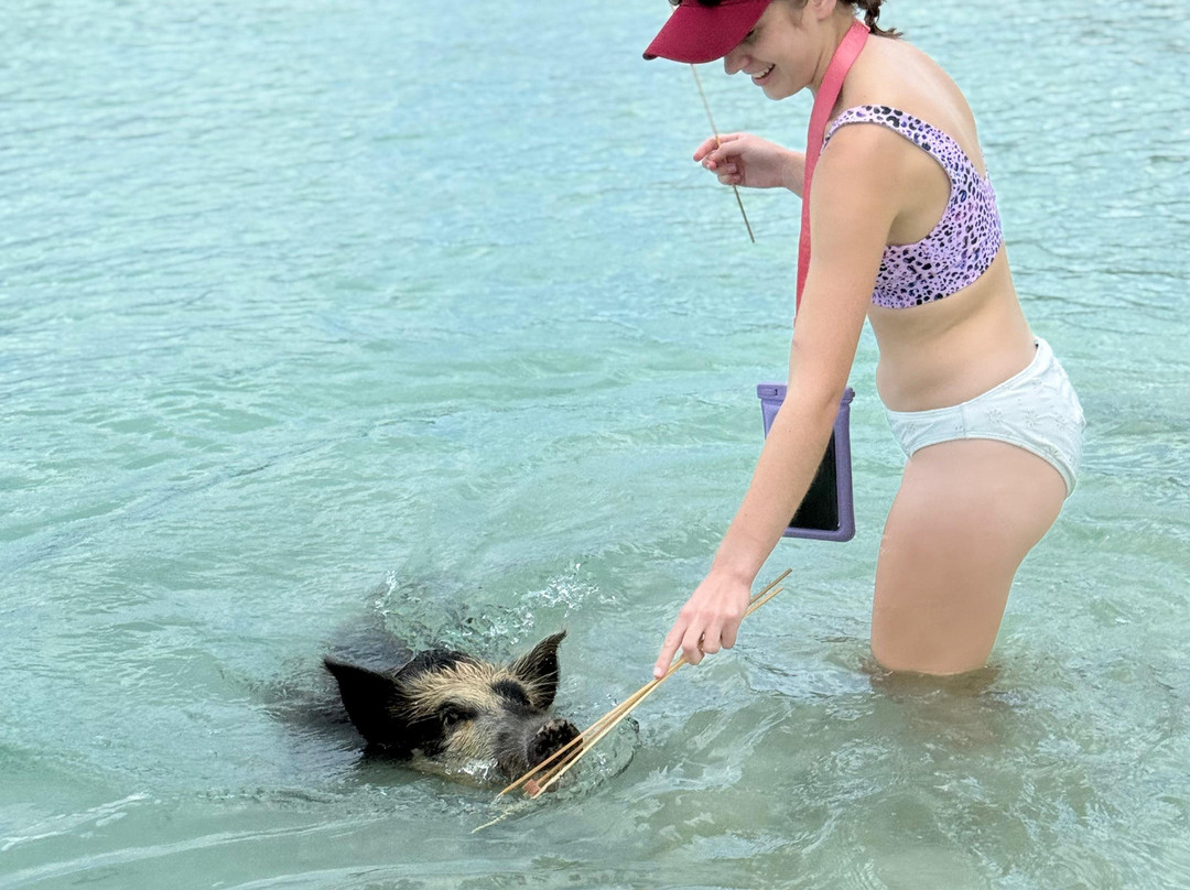 True Blue Charters | Spanish Wells Bahamas Guide-Spanish Wells必去景点