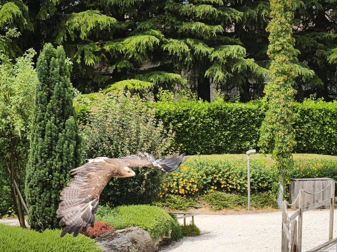 Parco Acrobati del Sole-Cividale del Friuli必去景点