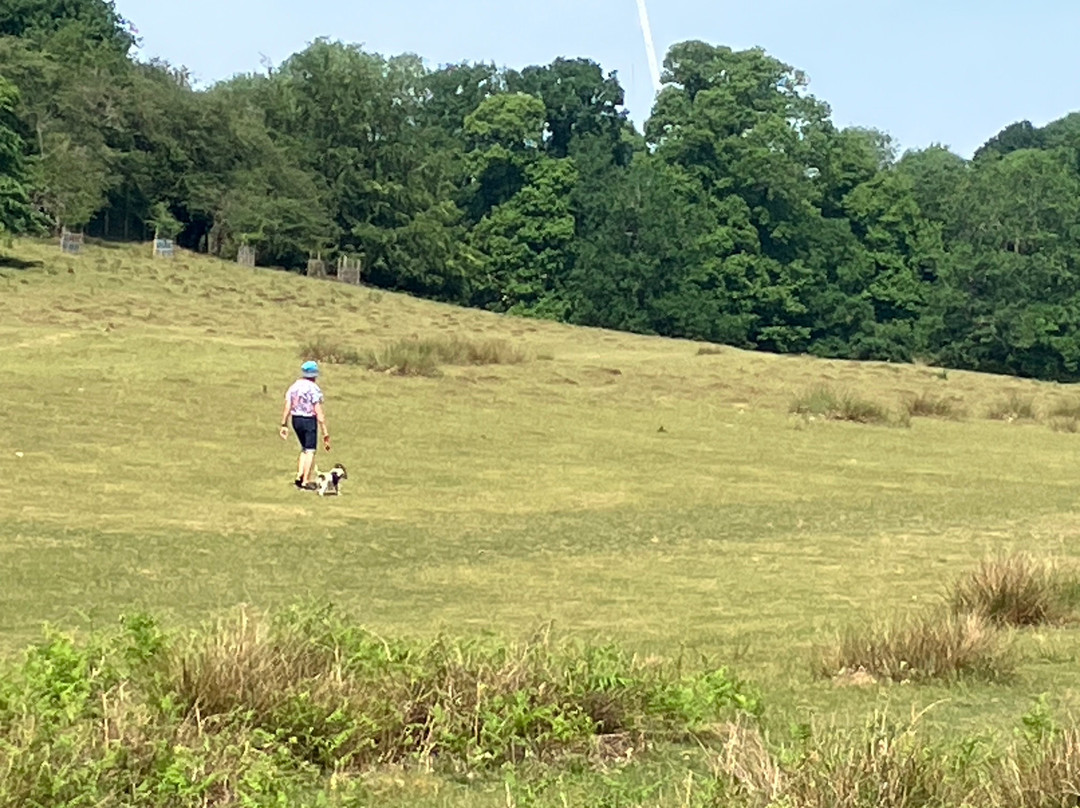 Knole House Estate Walking Trails-Sevenoaks必去景点