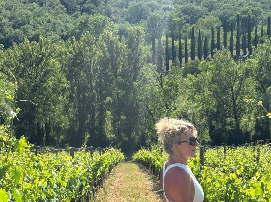 Le Miccine Vineyards And Winery-加约莱因基安蒂必去景点