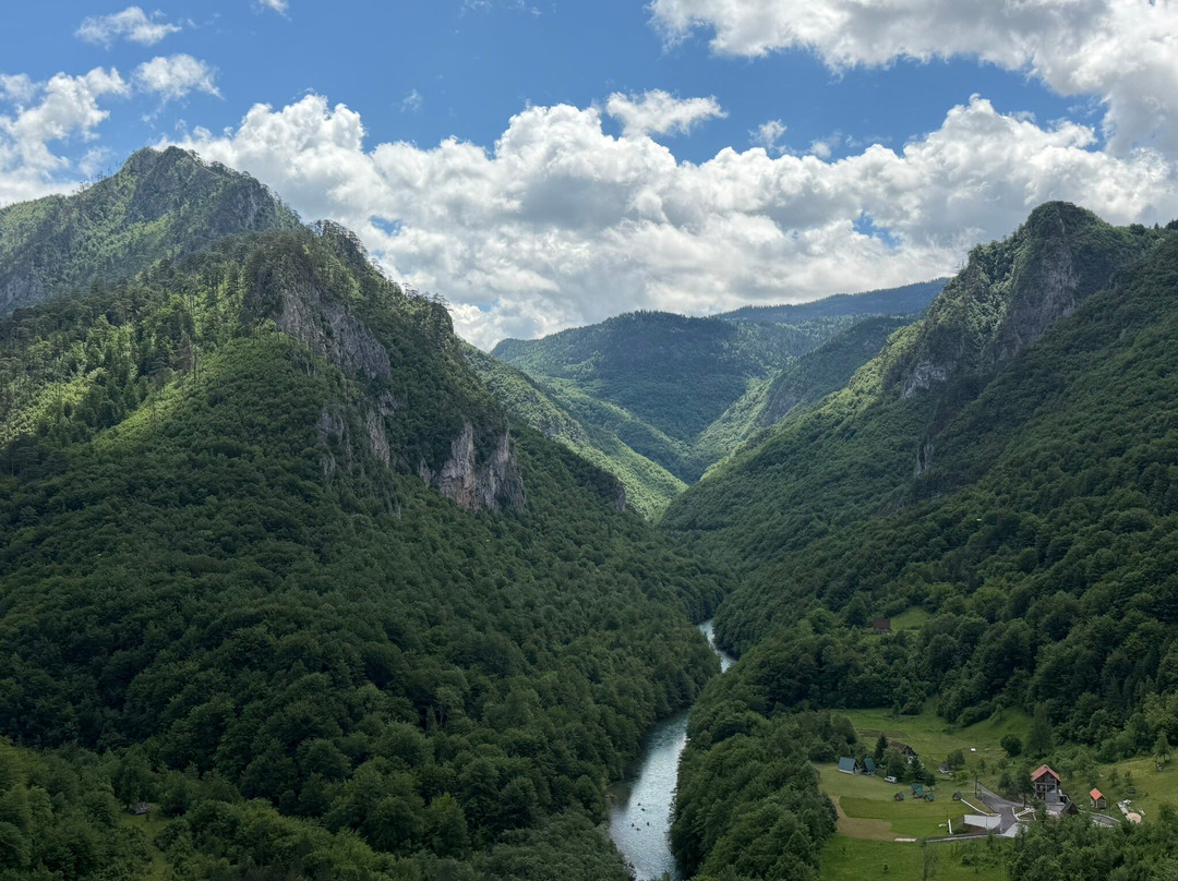 Tara River Canyon-Dobrilovina必去景点
