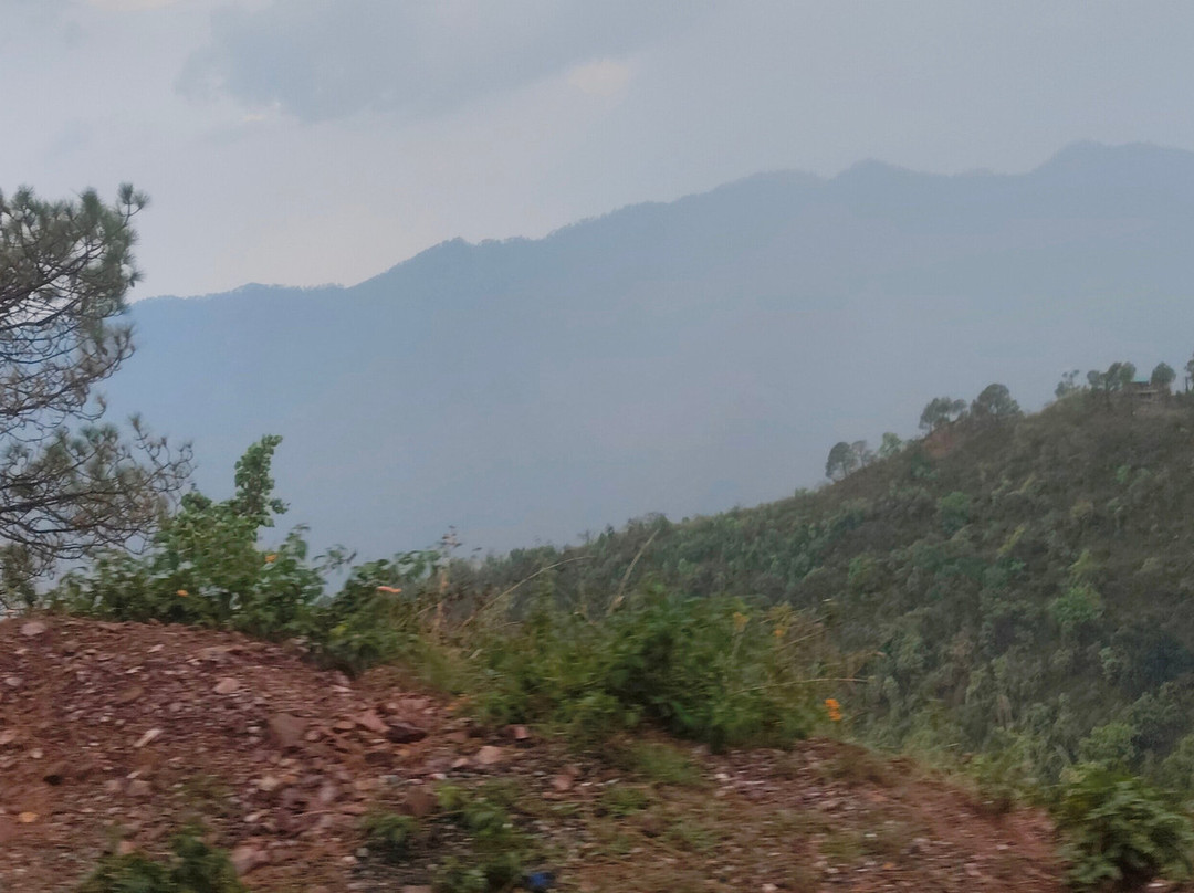 Sattal Forest Resort主图