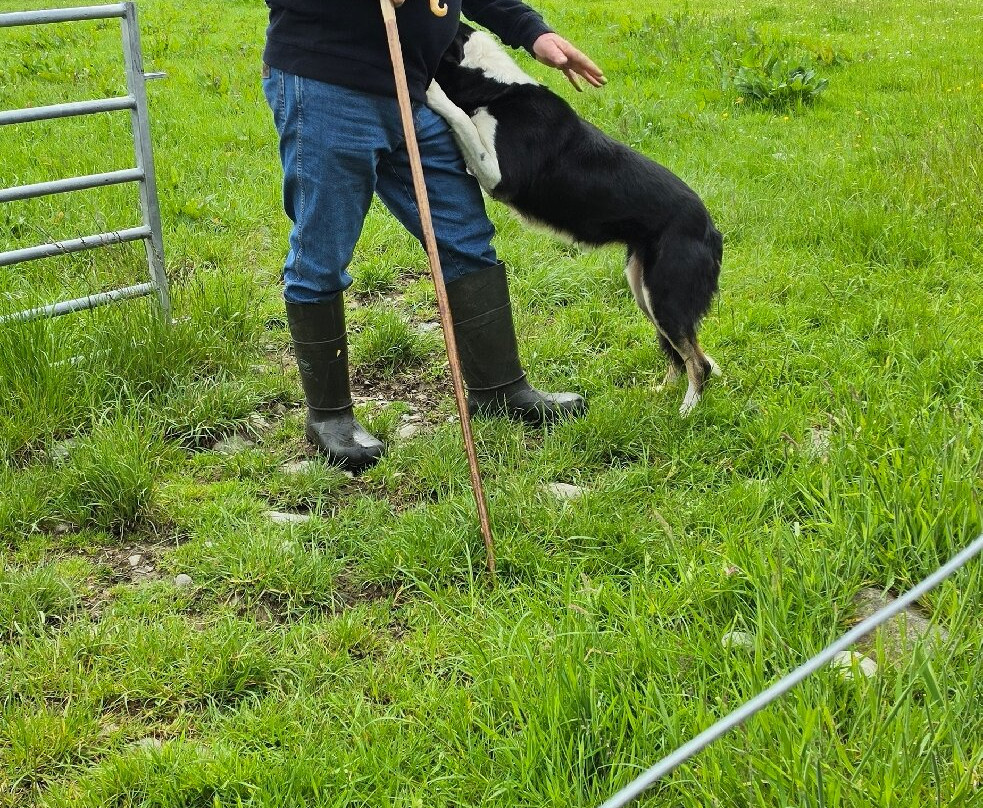 Glen Keen Farm-Derryheigh必去景点