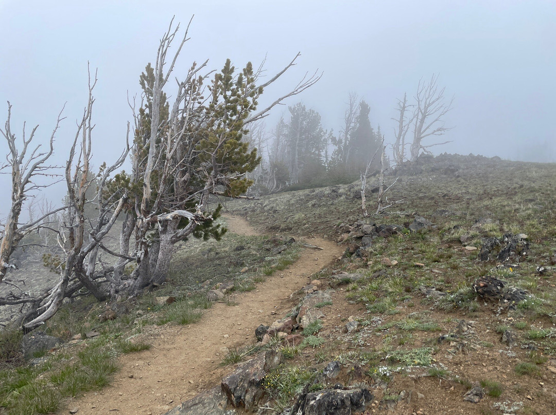 Wallowa Lake Tramway-Joseph必去景点