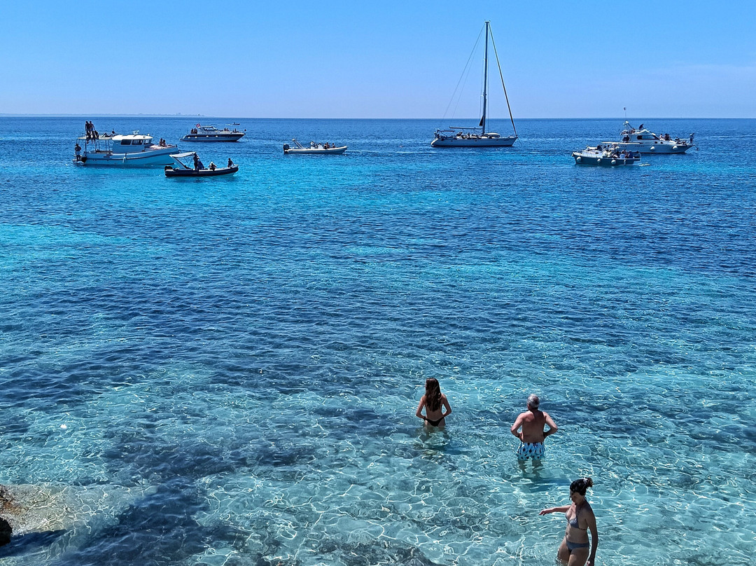 Scogliera Cala Azzurra-法维格纳纳必去景点