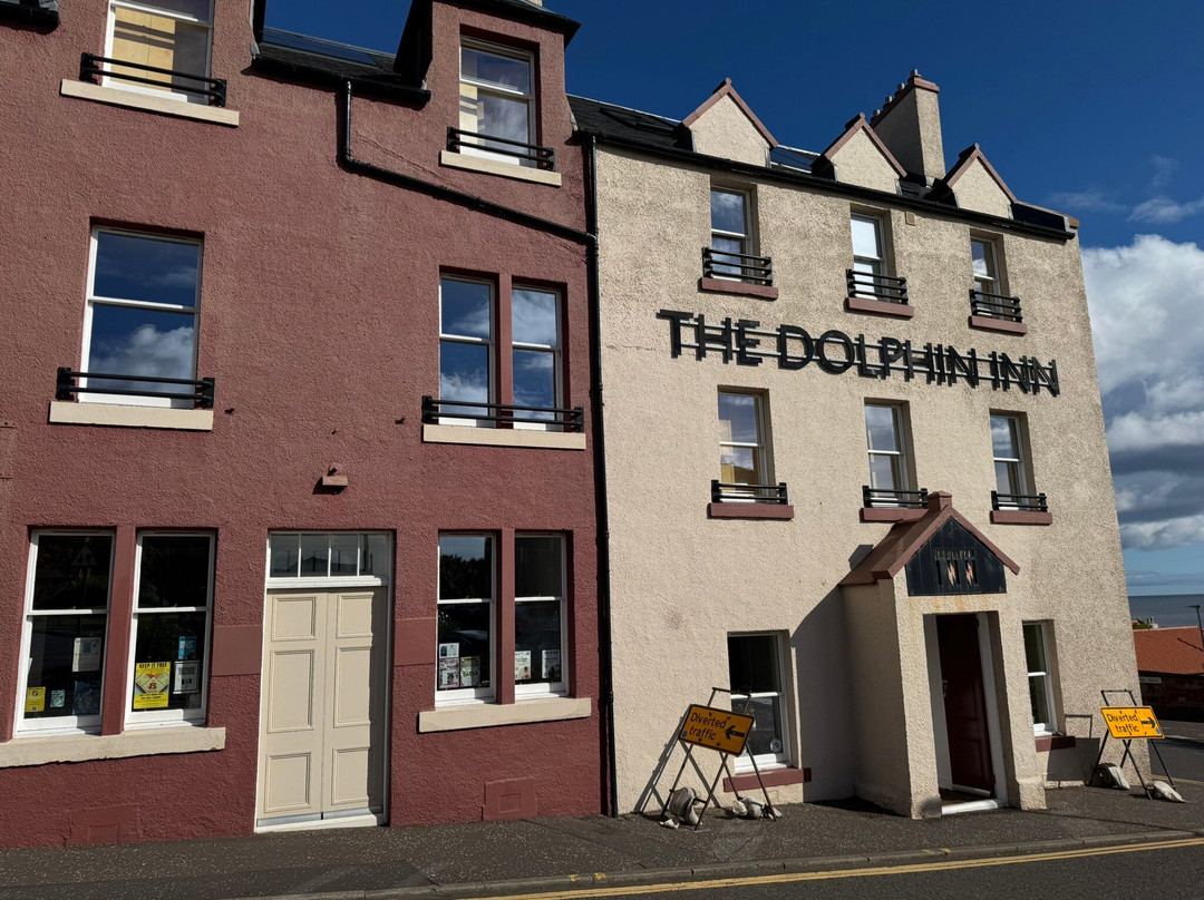 The Dolphin Inn Hostel主图