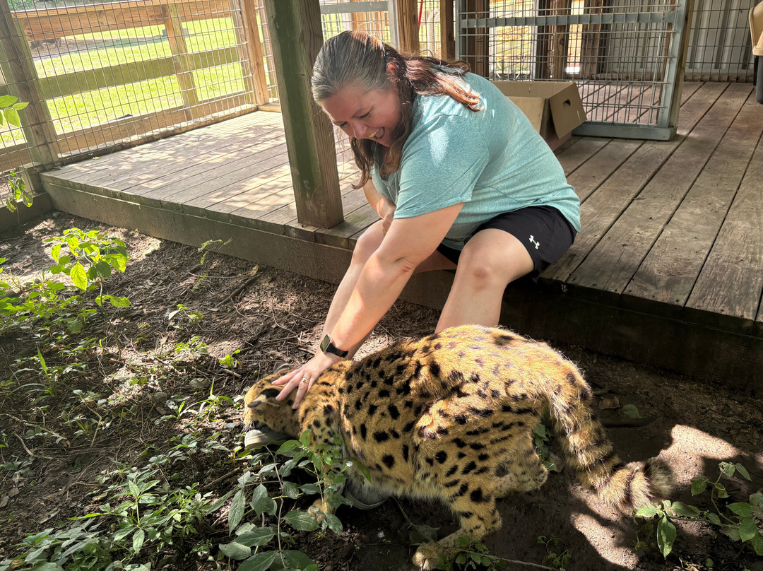 TGR Exotics Wildlife Park-斯普林必去景点