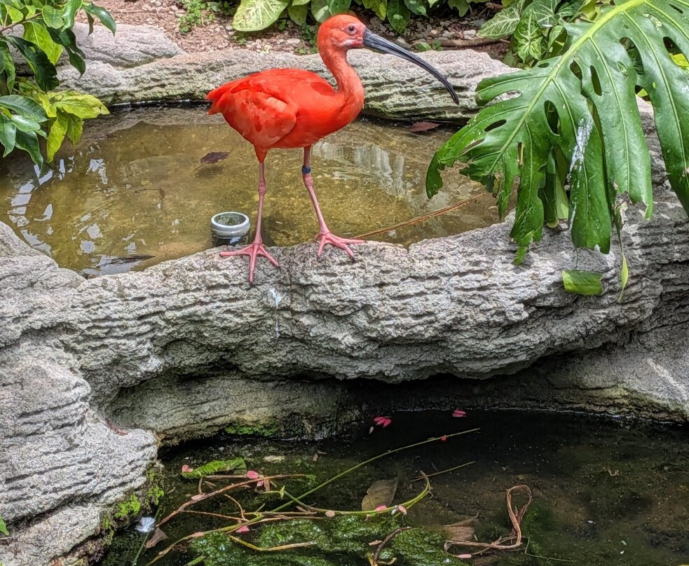 Bermuda Aquarium, Museum & Zoo-Hamilton Parish必去景点