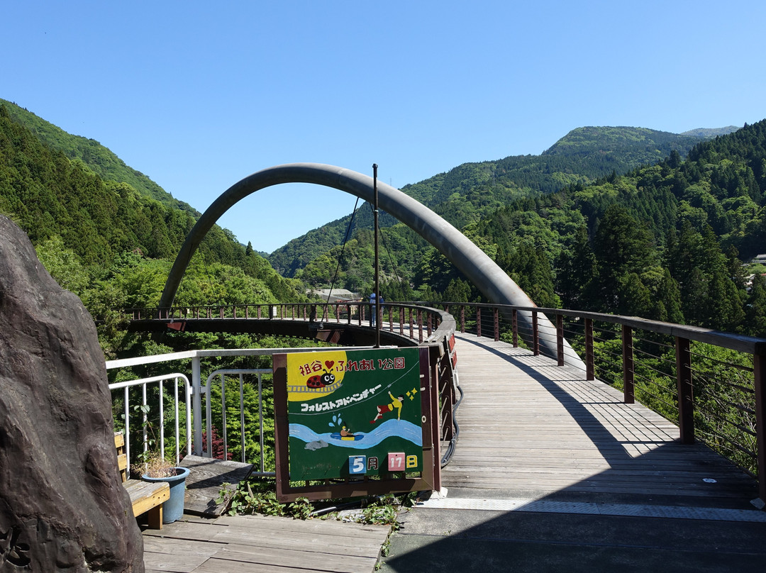 The Peeing Boy Of Iya Gorge-三好市必去景点