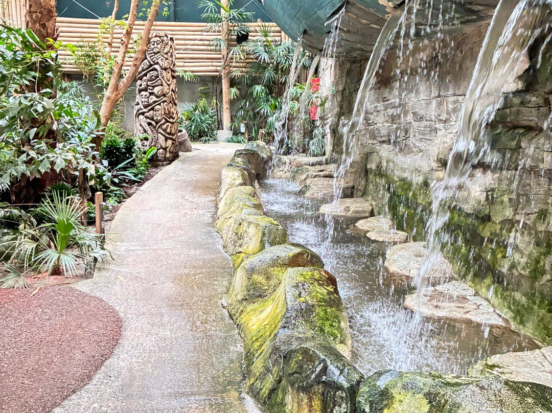 Center Parcs de Vossemeren-洛默尔必去景点