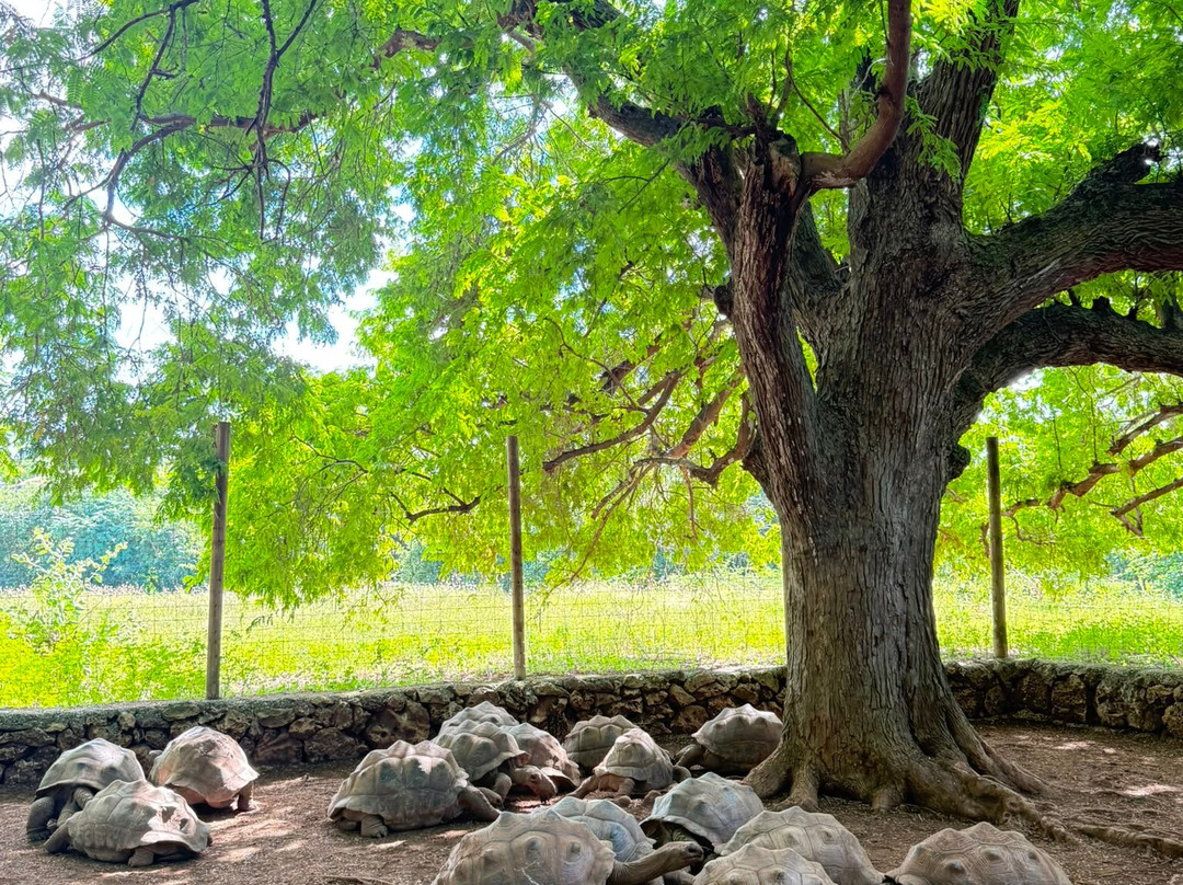 Francois Leguat Reserve-罗德里格斯岛必去景点