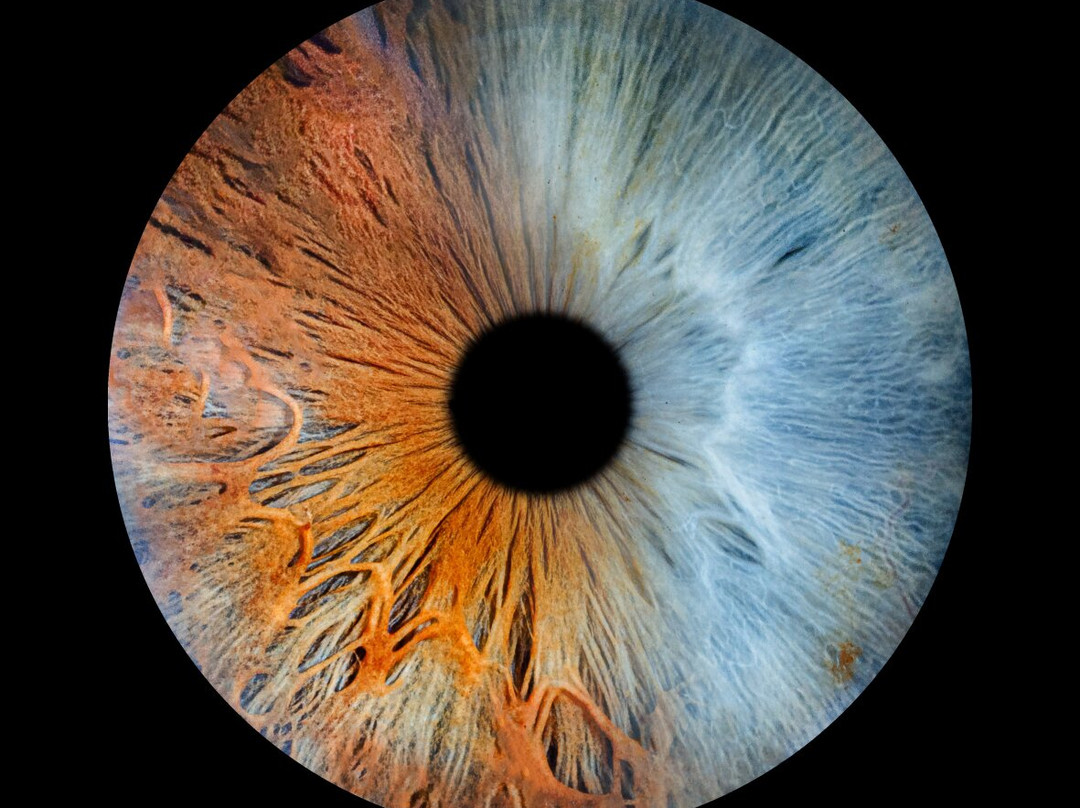 Iris Galerie Groningen-格罗宁根省必去景点