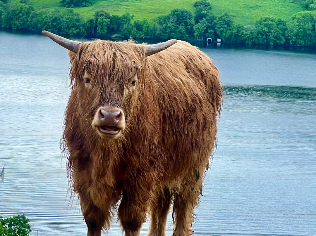 Loch Ness Hub & Travel-德拉姆纳德罗希特必去景点
