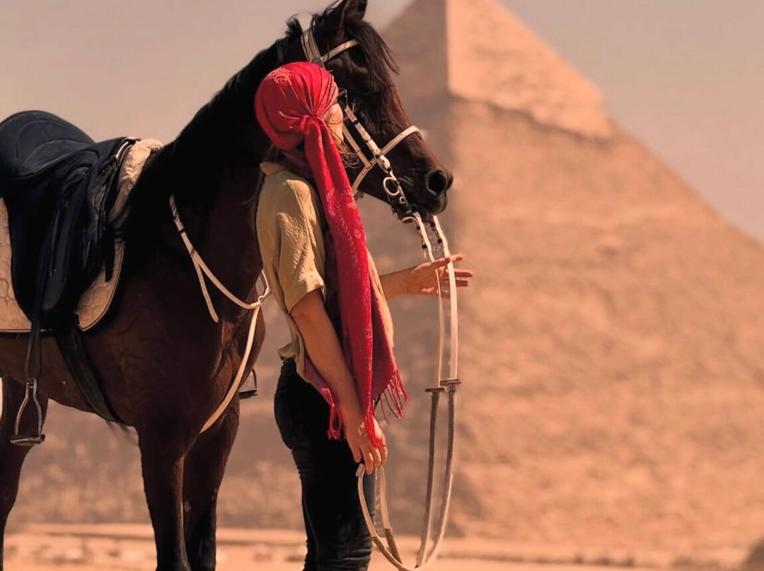 Horse Trips Egypt-Tunis必去景点
