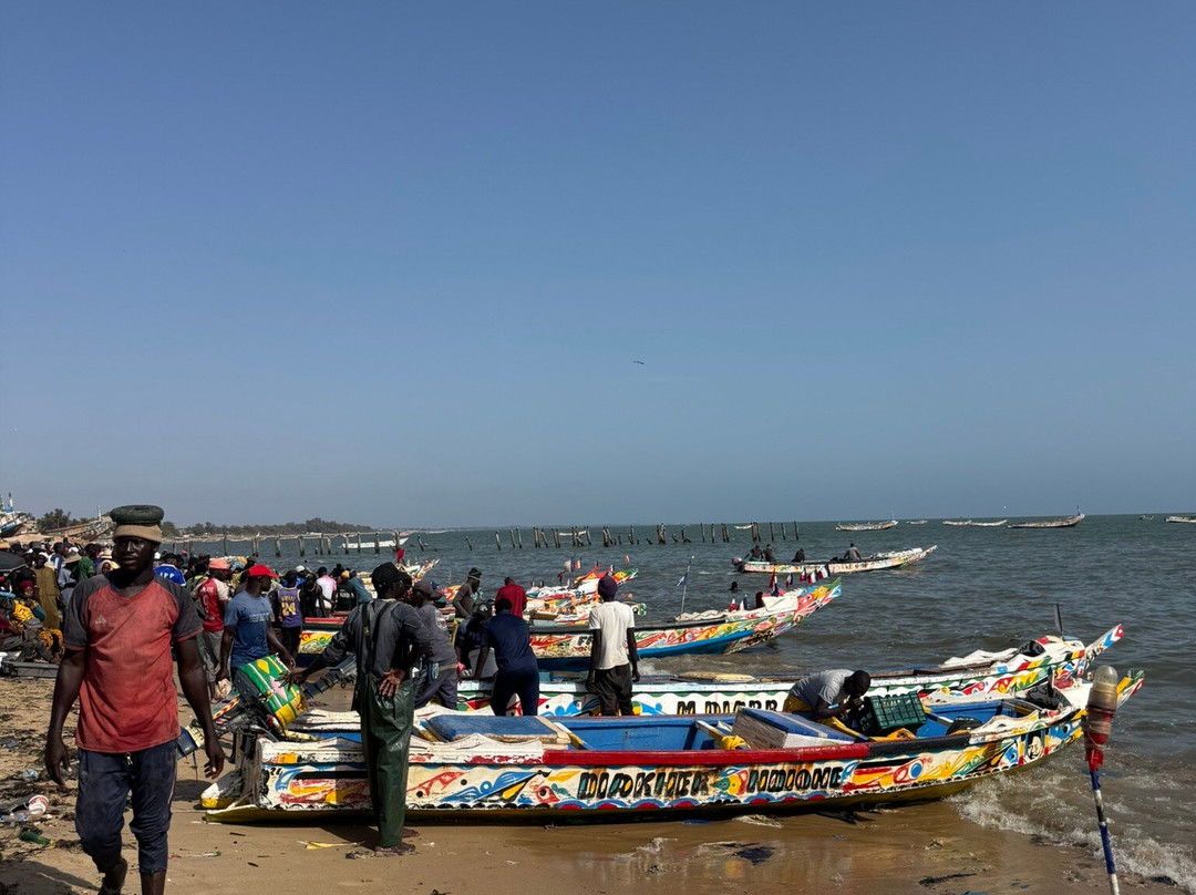 Excursions Départ Hôtel Riu Baobab-Ponto必去景点