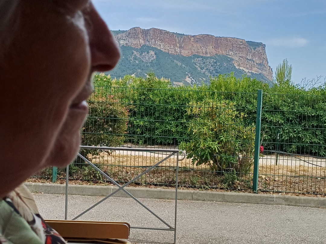Le petit train touristique de Cassis - by FRANCE Voguette-卡西斯必去景点