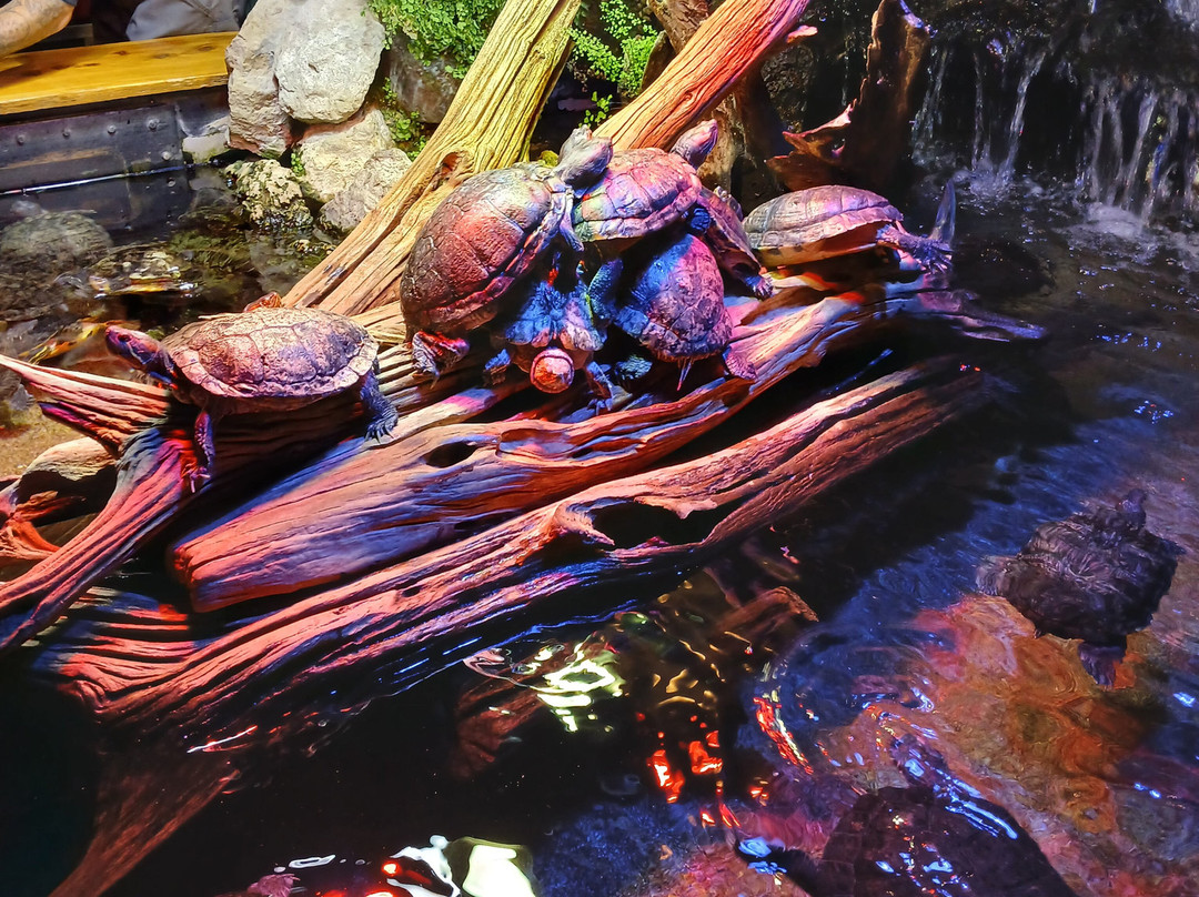 Oklahoma Aquarium-Jenks必去景点